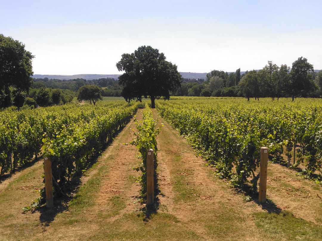 Nutbourne Vineyards景点图片