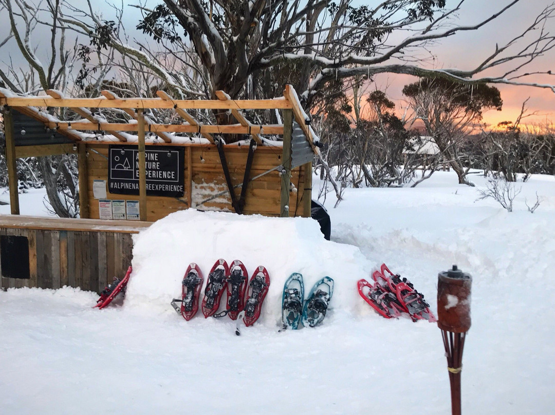 Alpine Nature Experience-Mount Hotham必去景点