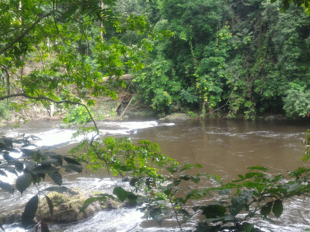 Kwa Falls-Calabar必去景点