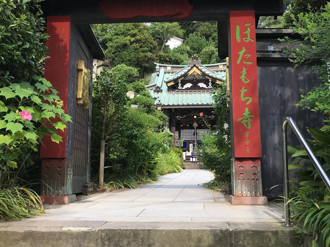 Joei Temple-镰仓市必去景点