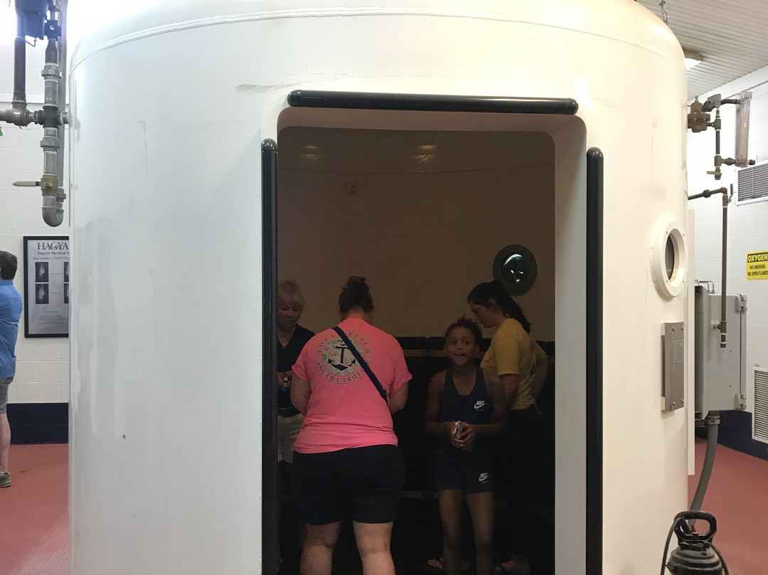 Hagyard Equine Medical Institute-列克星敦必去景点