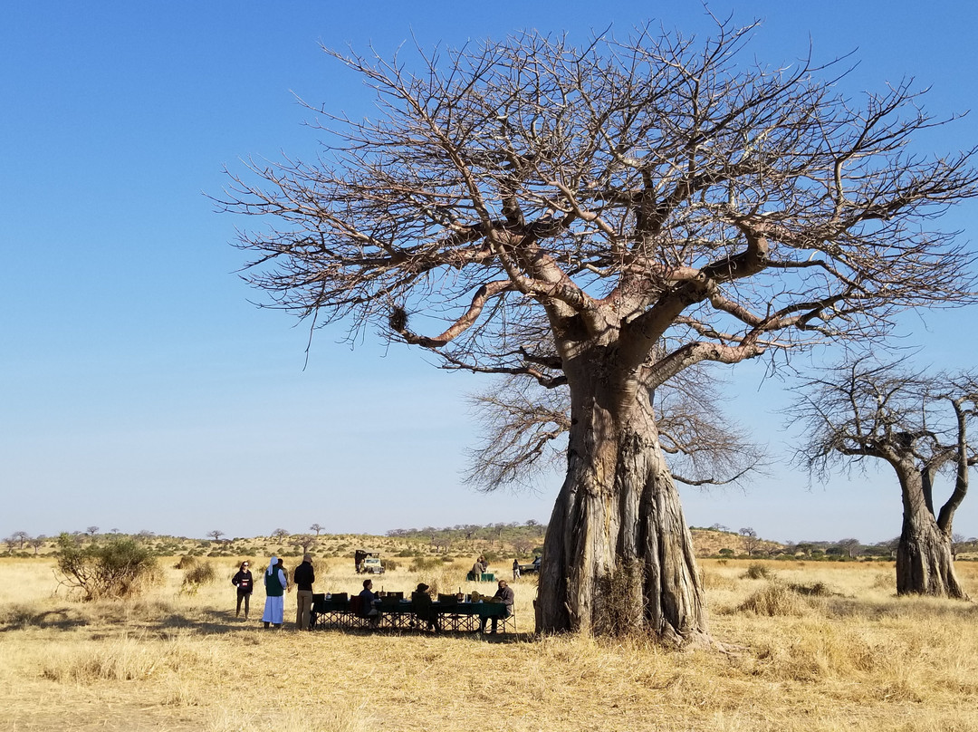 Serengeti Balloon Safaris-鲁阿哈国家公园必去景点