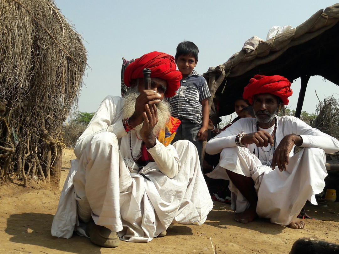 Narayan Sarovar Sanctuary景点图片