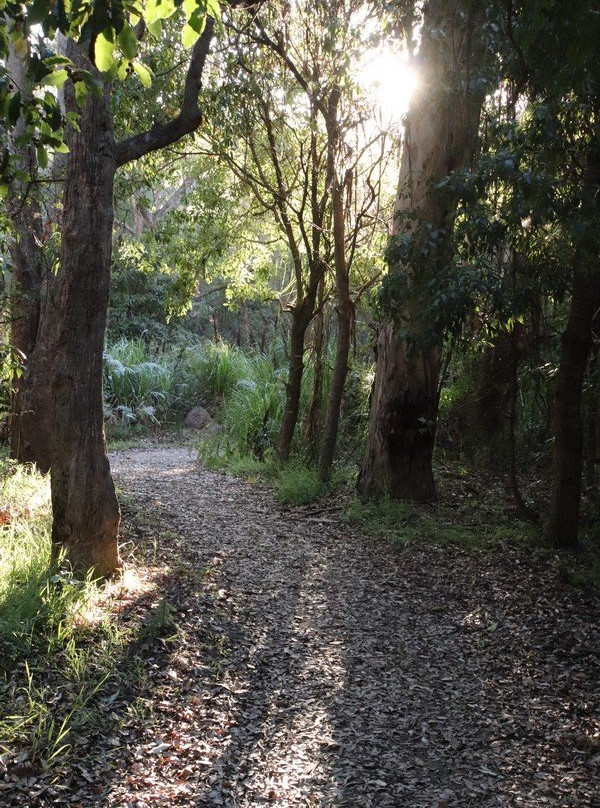 Bundian Way Story Trail-伊登港必去景点
