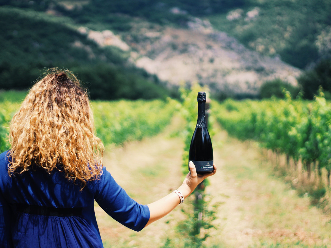 Azienda Agricola Vigna di More-Tione degli Abruzzi必去景点