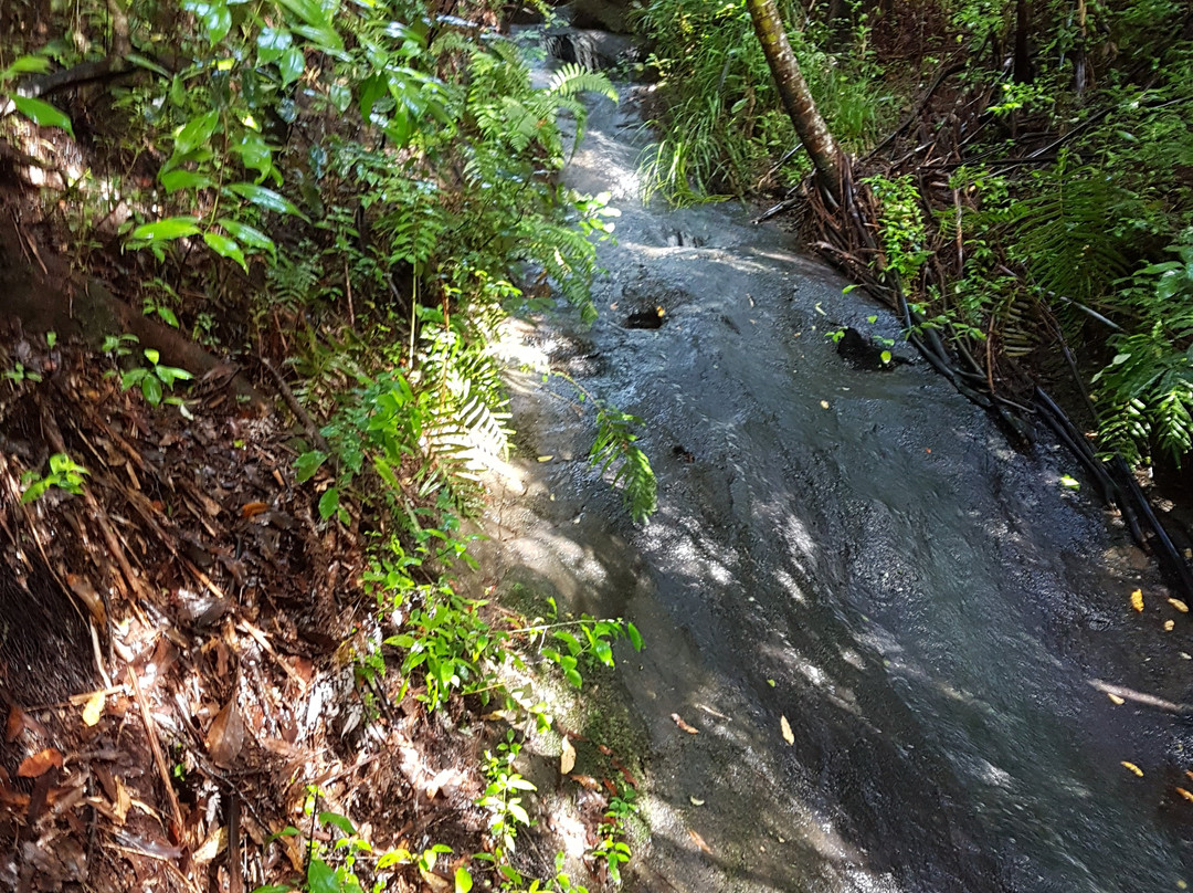 Warblers Retreat主图