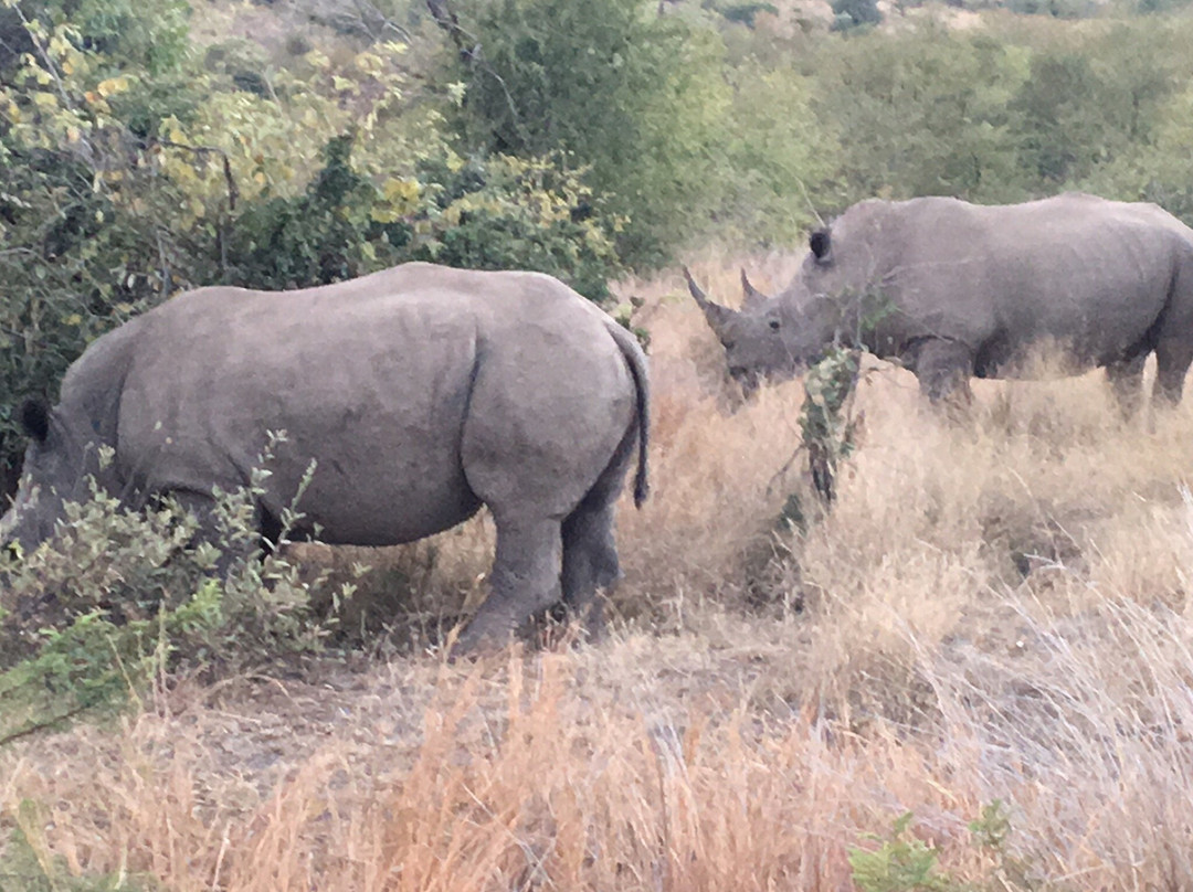 Bhubeza Safaris-匹兰斯堡国家公园必去景点