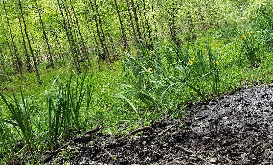 Rezerwat Bursztynowa Góra-Bakowo必去景点