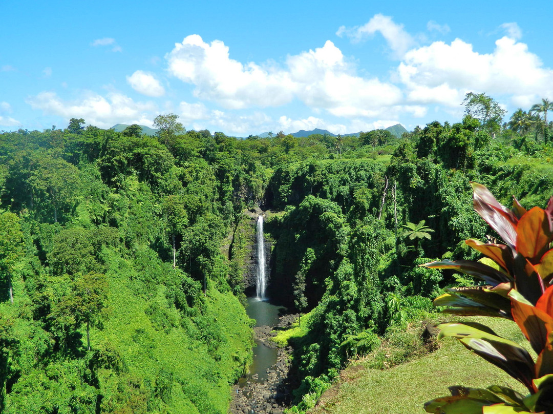 Sopoaga Falls景点图片