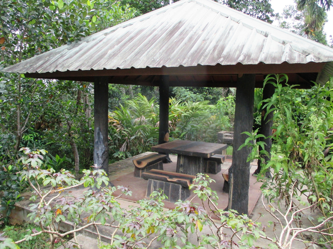 Kampung Putat Herb Garden-斯里巴加湾必去景点