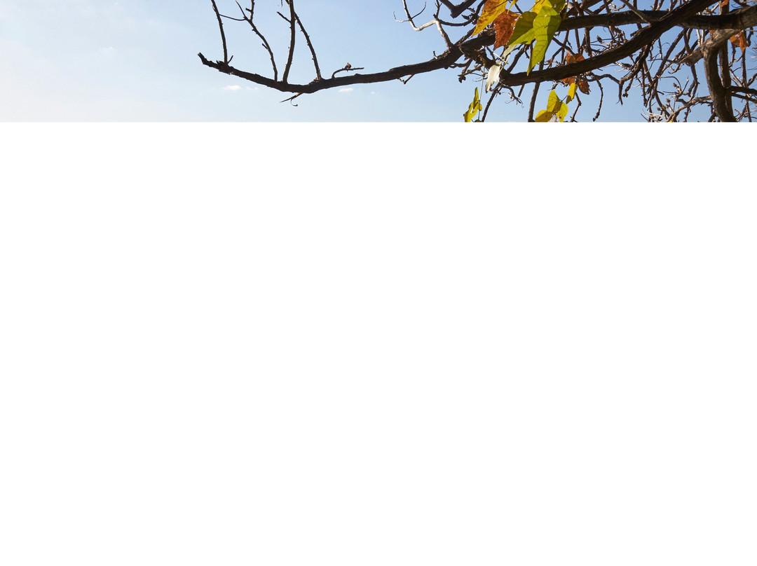 Cracknell Park-Rivervale必去景点