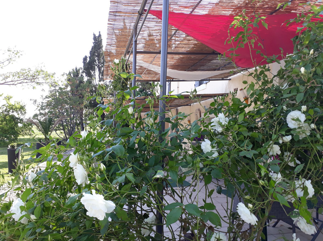 Aux Roses de l'Etang主图