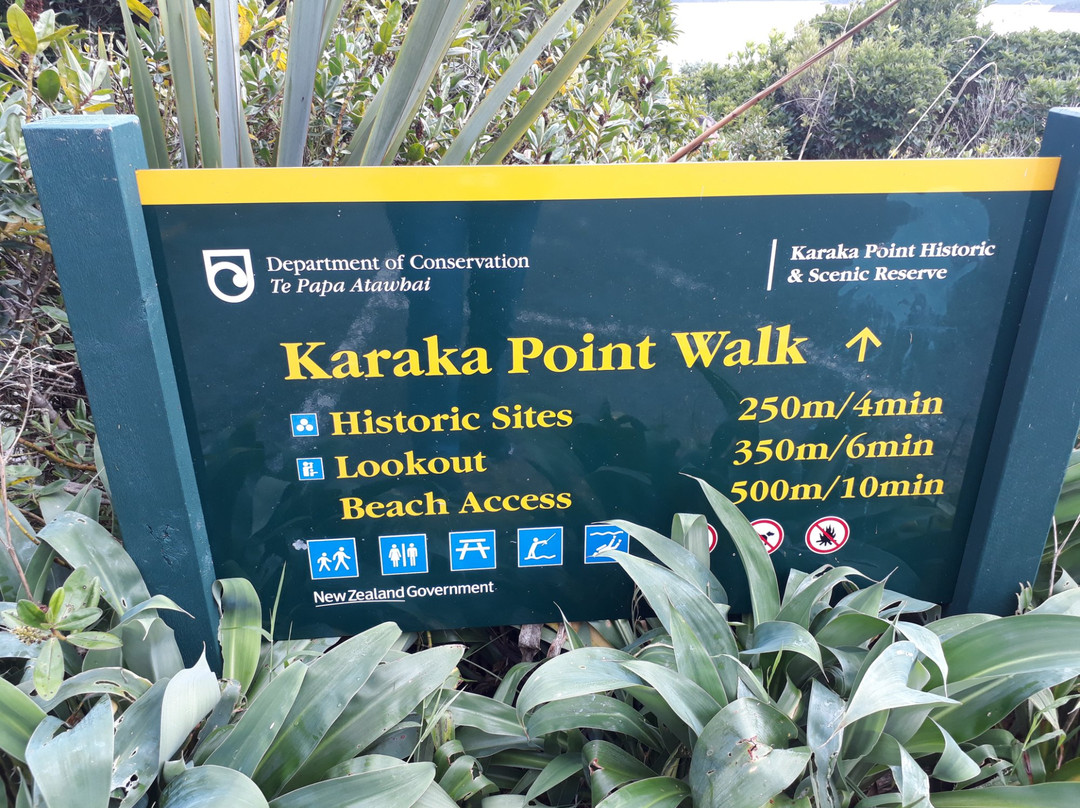 Karaka Point Walk景点图片
