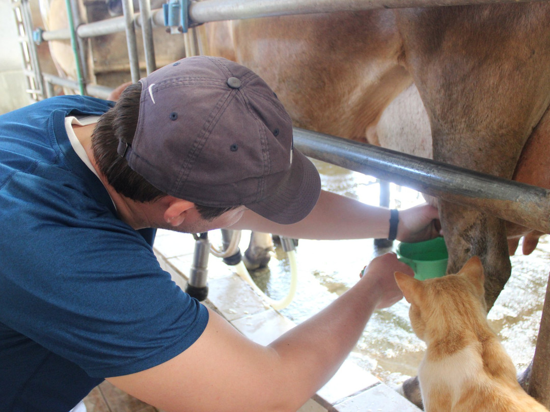 Finca El Paraiso CR - Cheese Farm Tour-Los Tornos必去景点