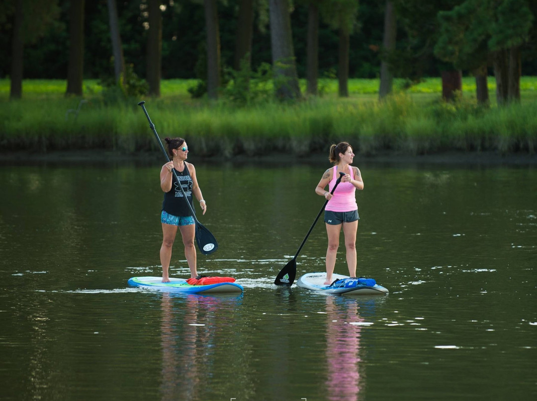 Over Board Paddle and Fitness景点图片