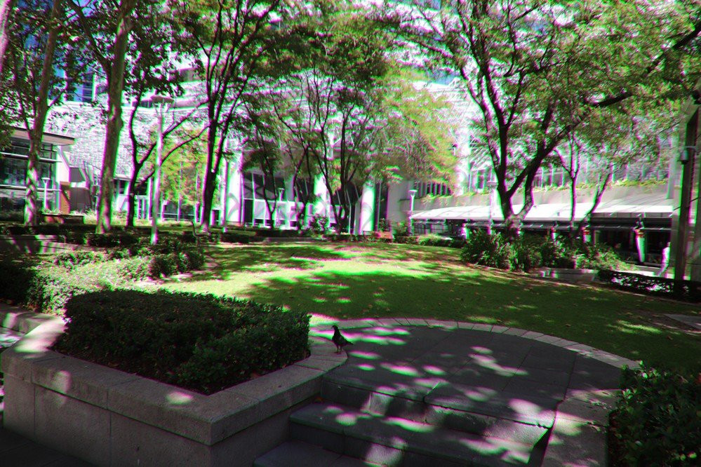 Central Park景点图片