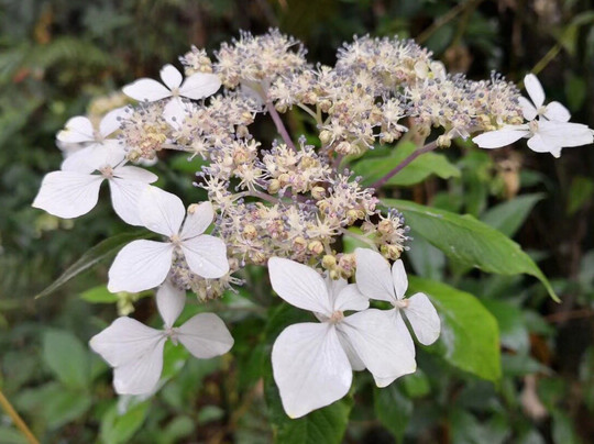 Travel Around Yunnan-昆明市必去景点