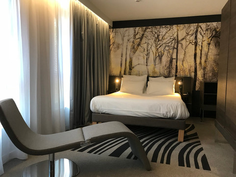 科尔马中心诺富特套房酒店主图