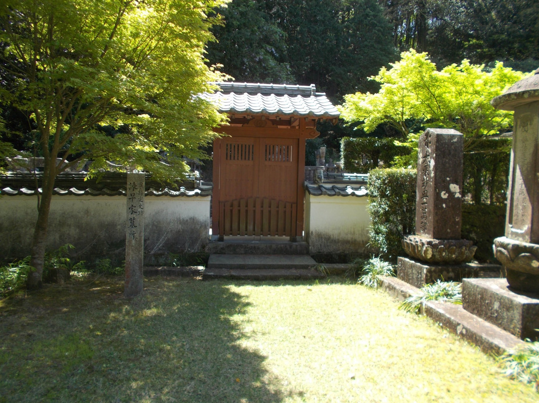 Tenyu-ji Temple景点图片