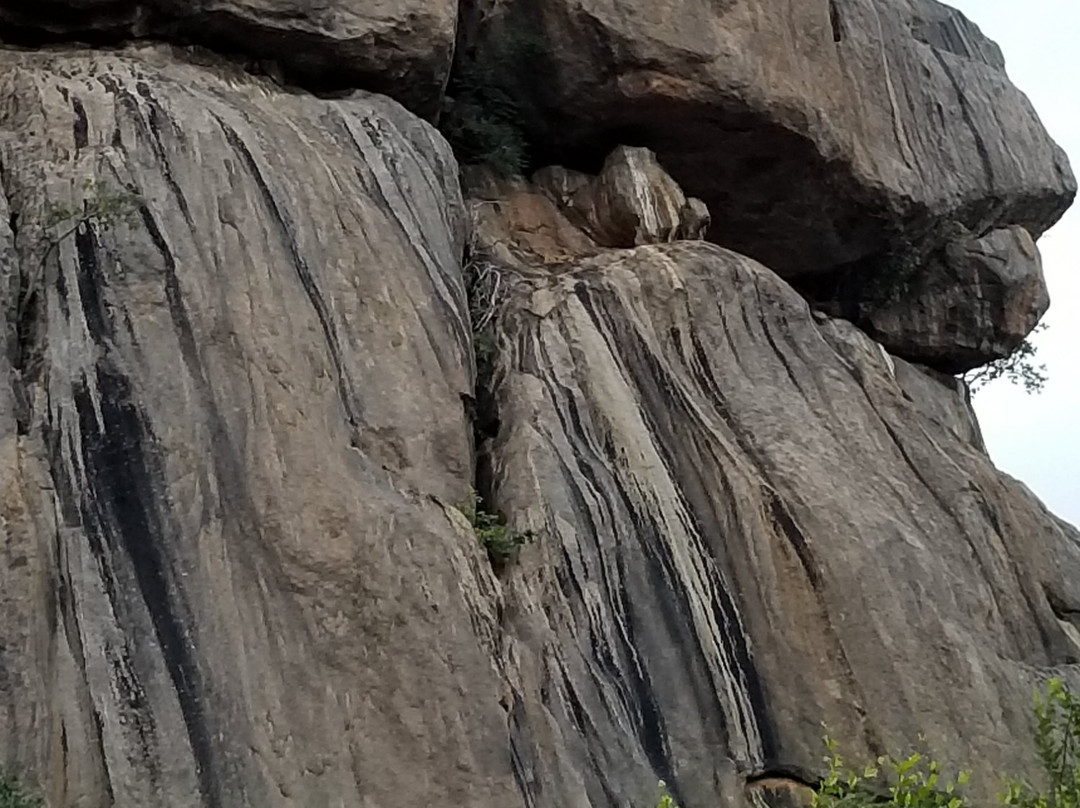 Maseke Mountain Biking-霍德斯普鲁特必去景点