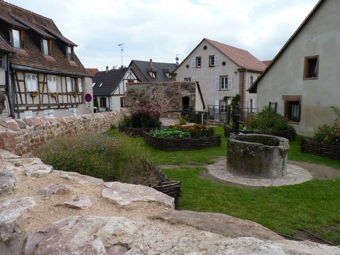 Jardin medieval景点图片