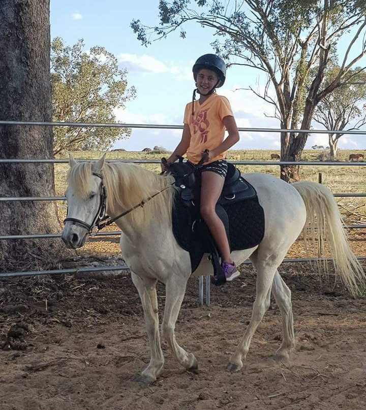 Outback Pony Rides-达博必去景点