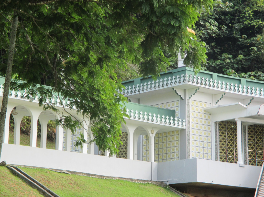 Royal Brunei Mausoleum景点图片