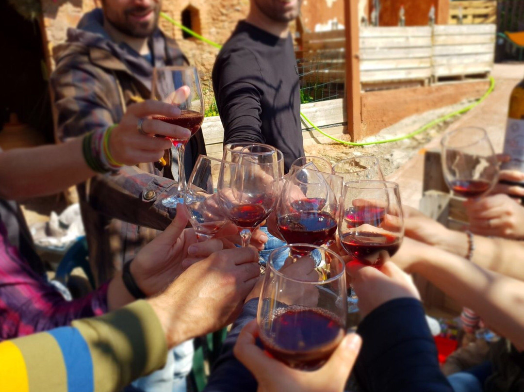 Bodega Sirot-托雷利亚斯-德略布雷加特必去景点