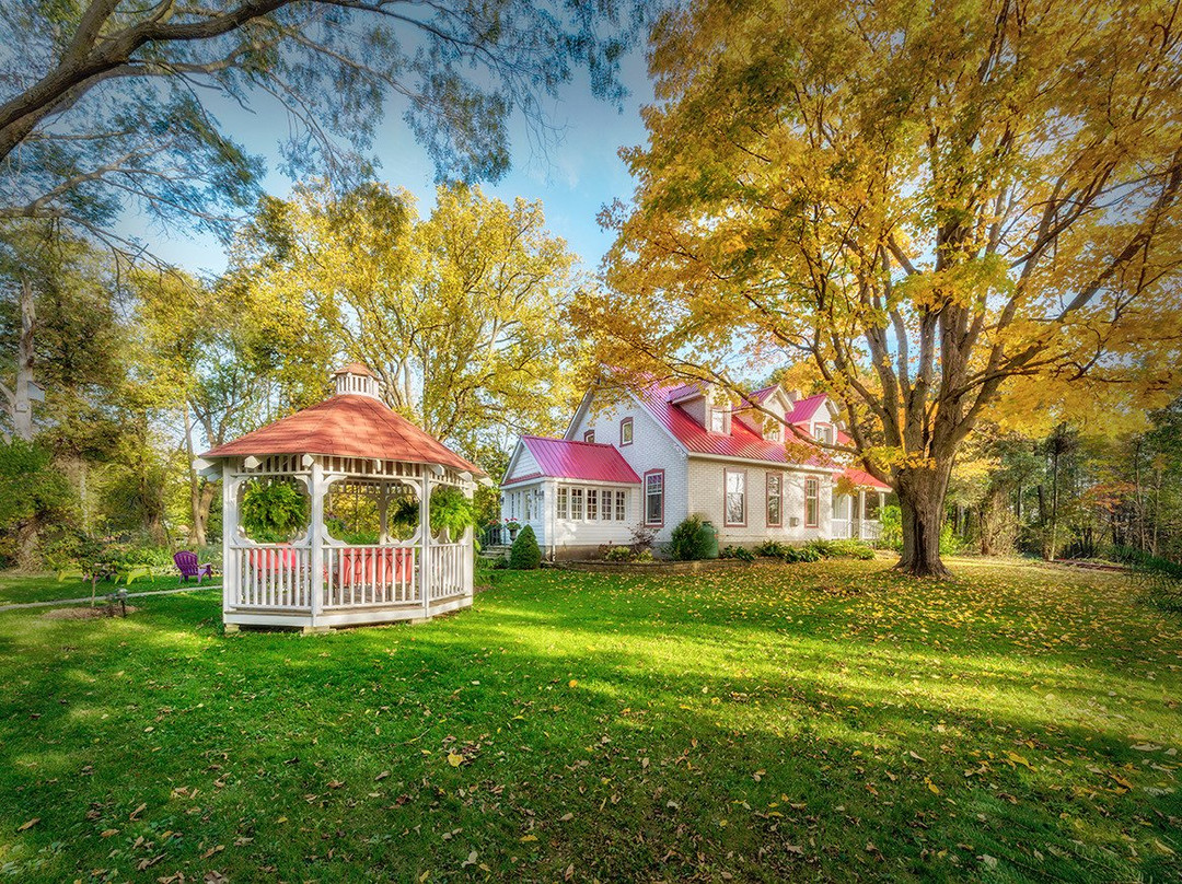 Lionheart Guest House主图