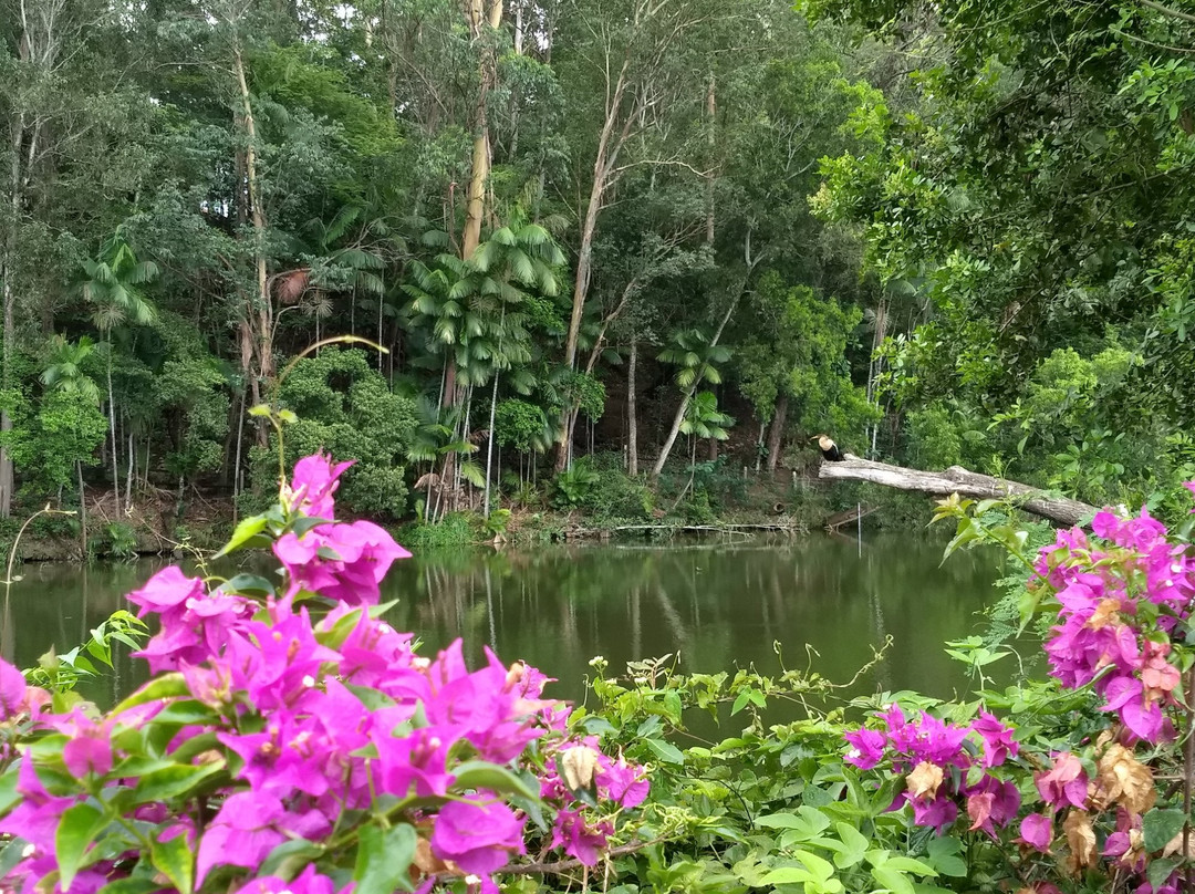 Parque Botânico Vale景点图片