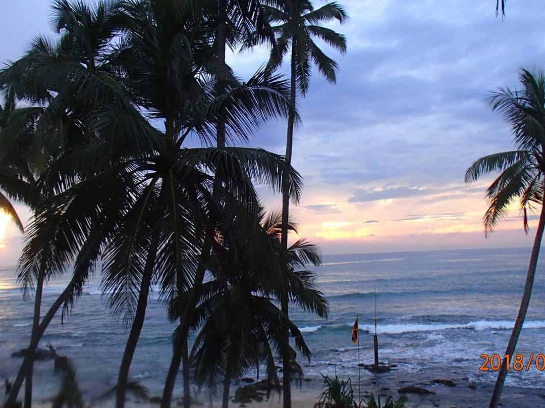 Cool Beach Hotel主图