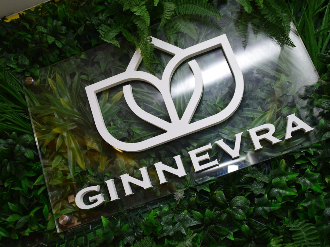 Campamento旅游景点-Pub Ginnevra