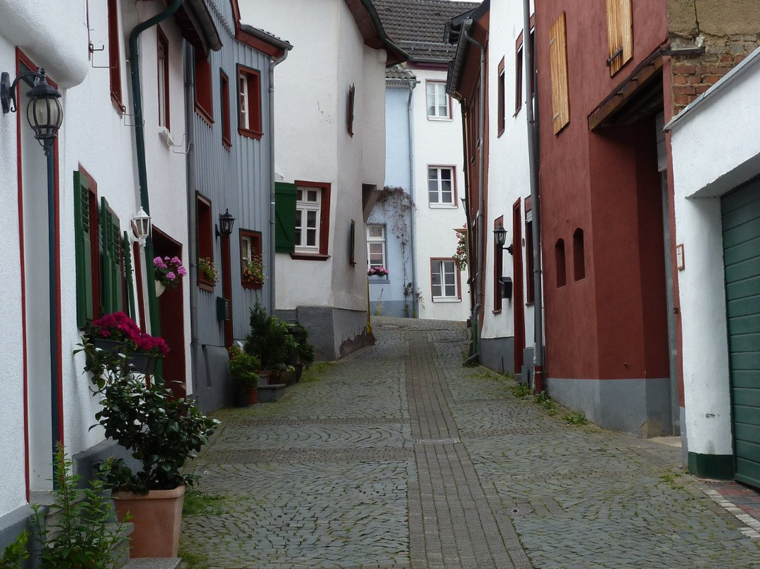 Hotel Grunwald主图