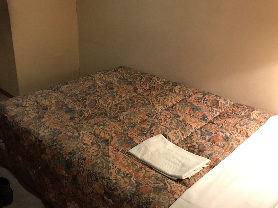 Mizusawa Kita Hotel主图