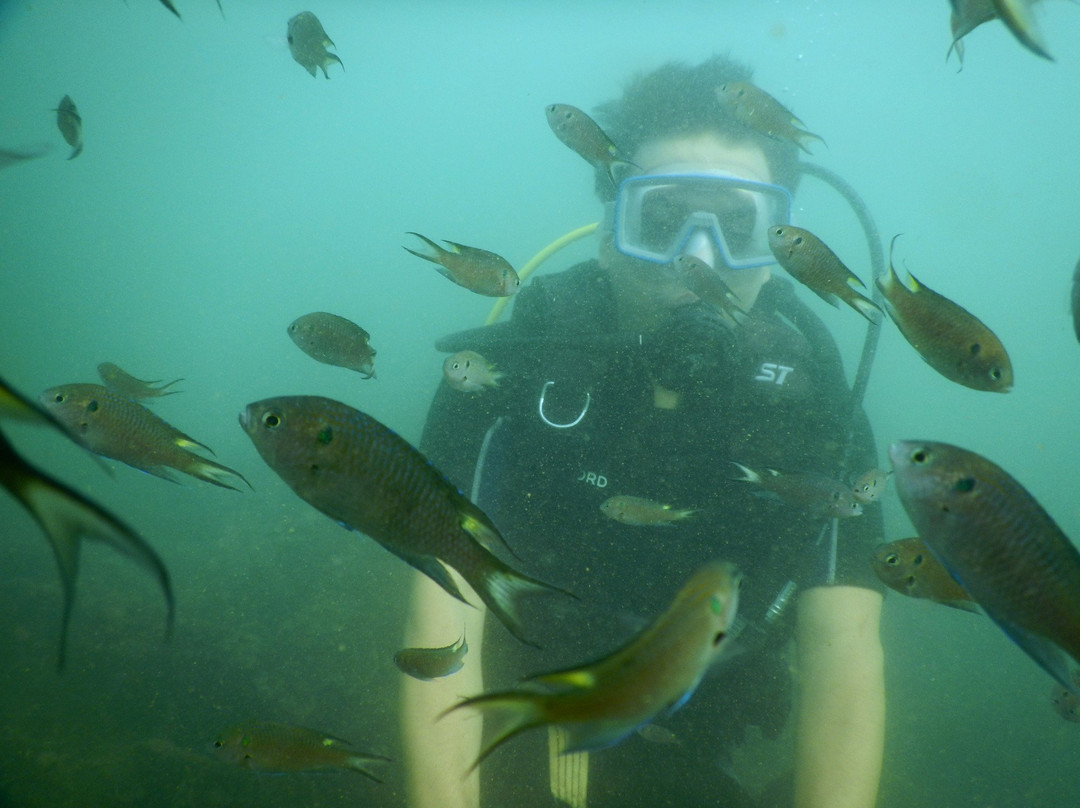 Malvan Marine Sanctuary景点图片