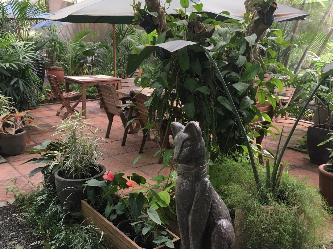 Cabiri餐馆和美食-Bonsai Snack bar