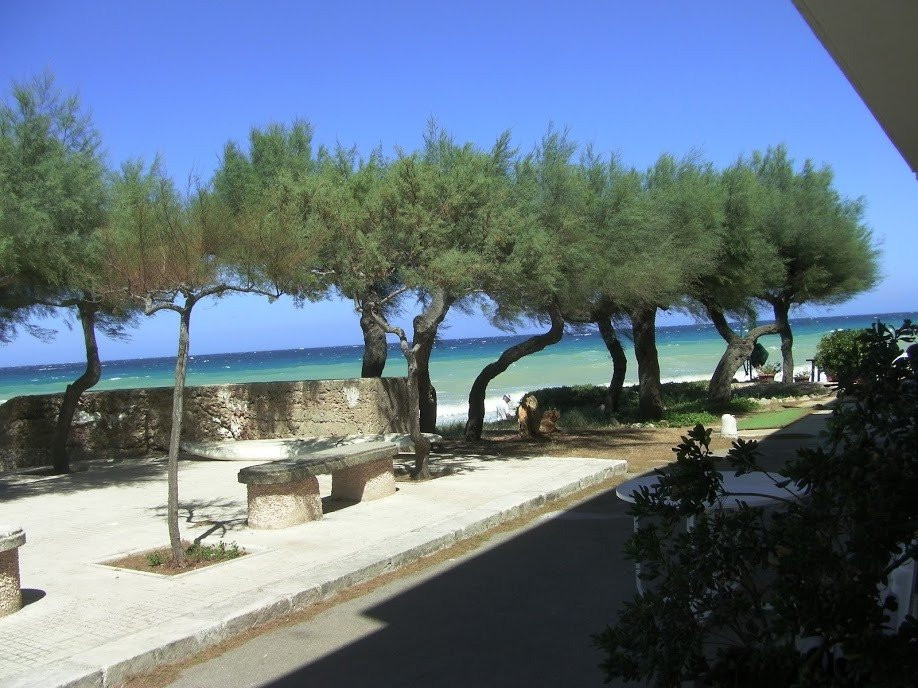 Spiaggia di Torre San Gennaro景点图片