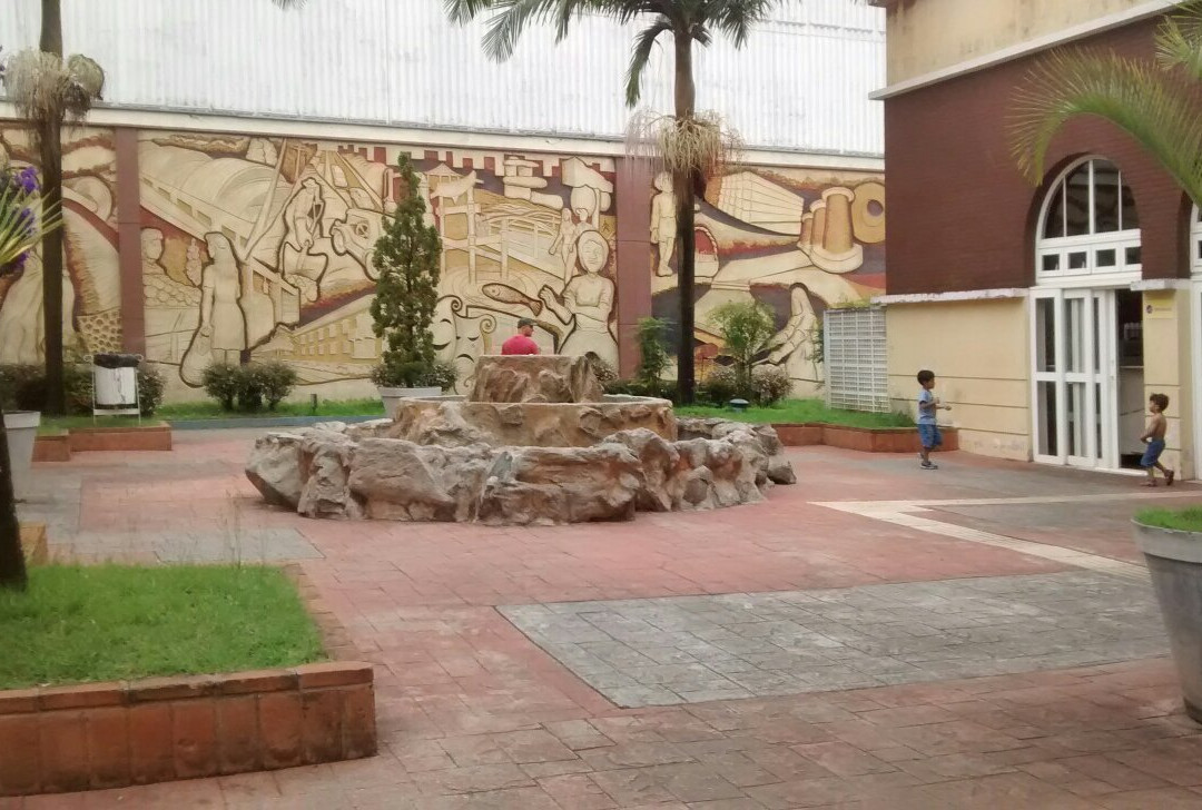 Parque Municipal Engenheiro Salvador Arena-圣贝尔纳多-杜坎普必去景点