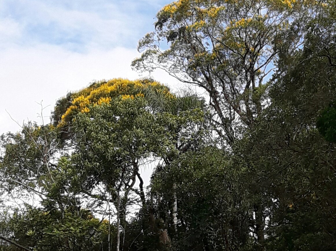 Parque Municipal Salto da Usina