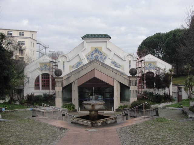 Termas das Caldas da Saude景点图片