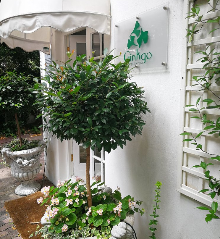 Ginkgo Petite Spa at The Andros Hotel景点图片