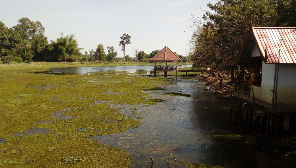 Khong Kut Wai Fish Sanctuary景点图片
