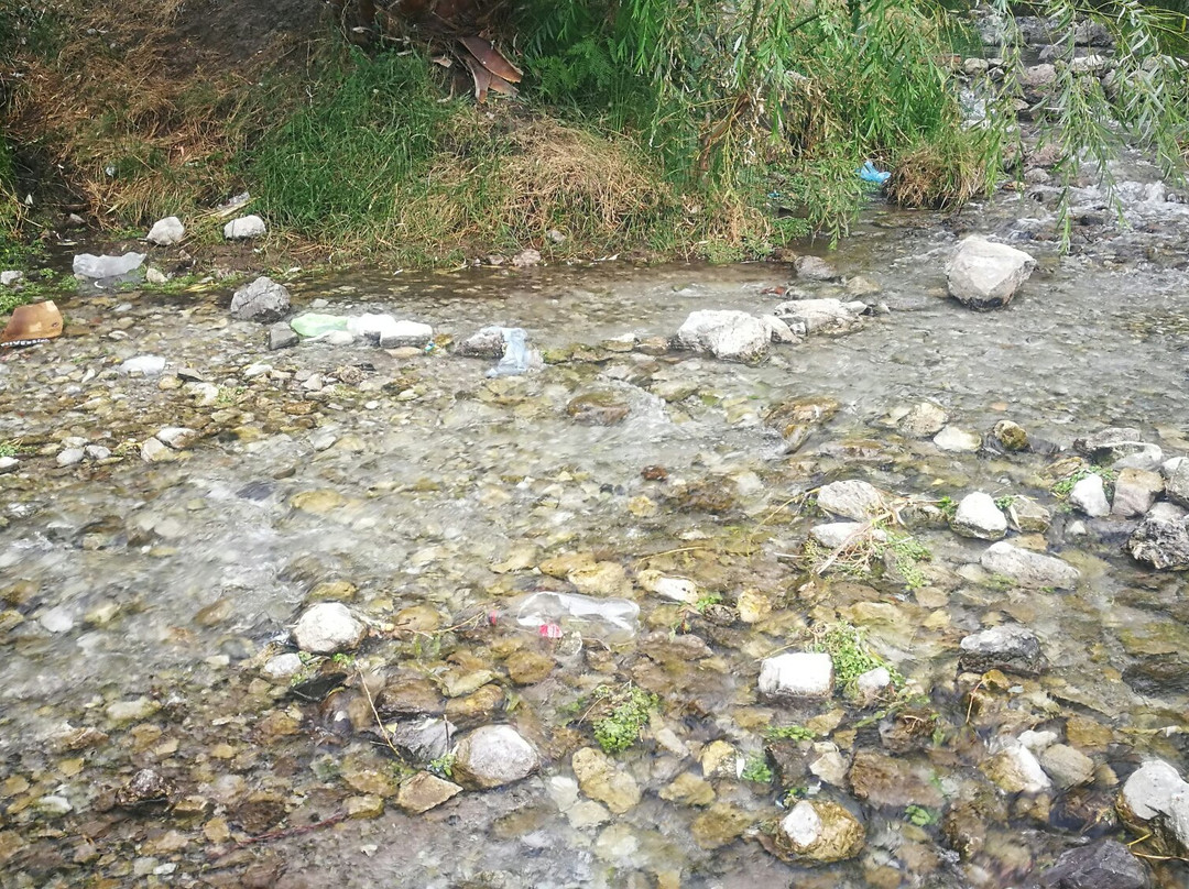 Camping Agua Negra景点图片
