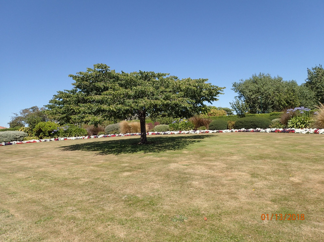 Otakaro Park景点图片