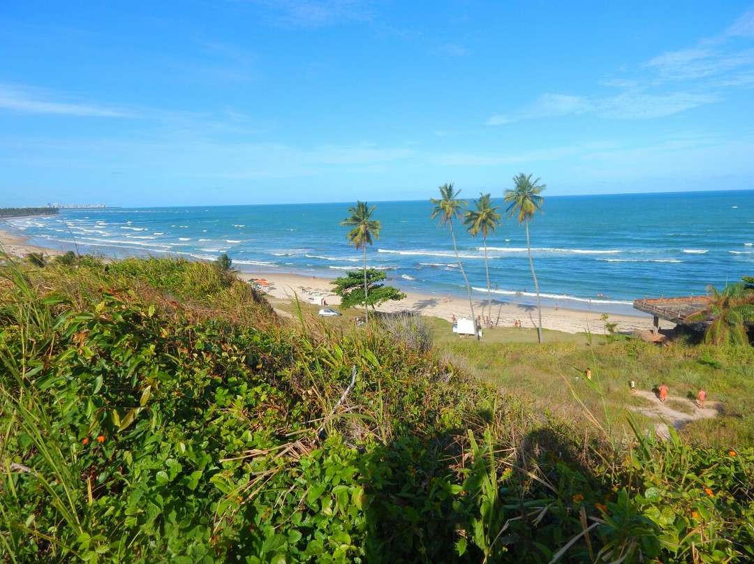 Itapuama Beach景点图片