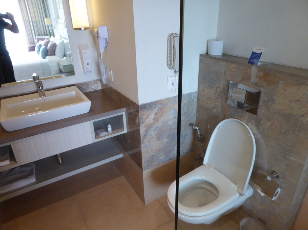 Efcee Sarovar Premiere主图