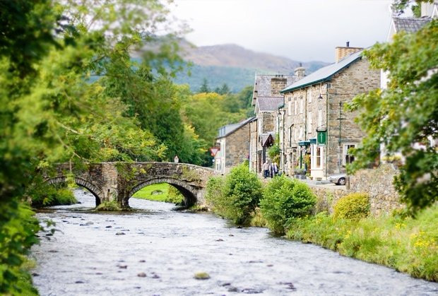 The Coach House主图