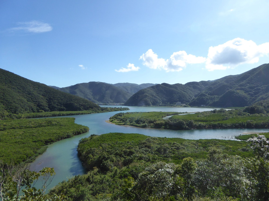 鹿儿岛国定公园原始红树林-奄美市必去景点