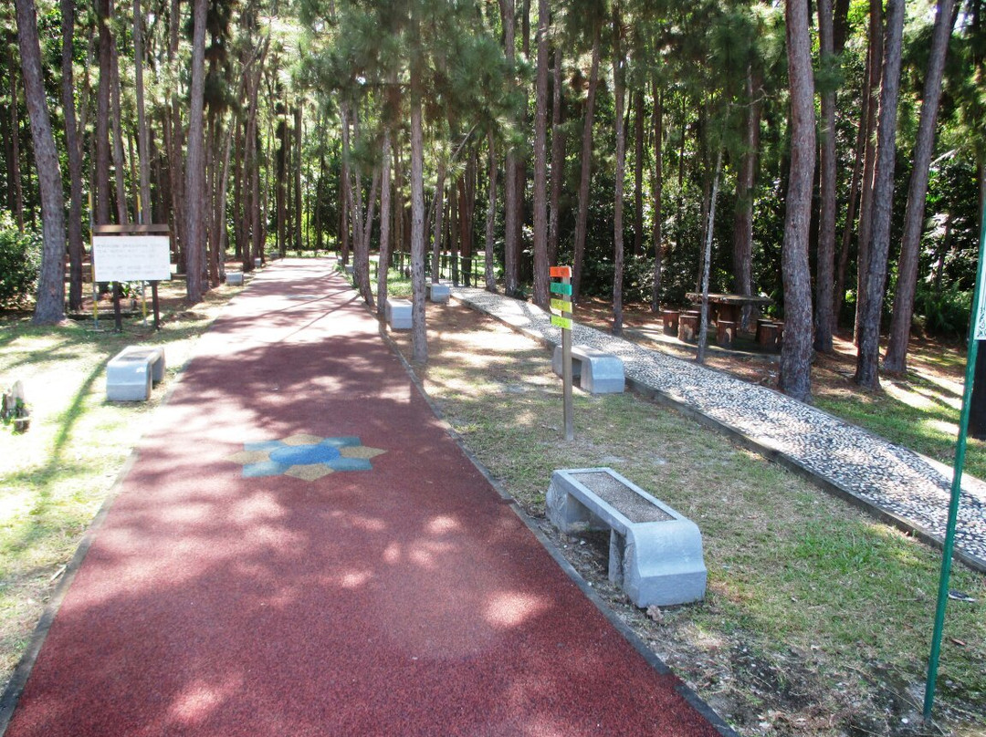 Bukit Shahbandar Forest Recreation Park-斯里巴加湾必去景点