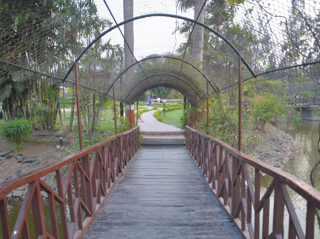 Island Garden Dadra Park景点图片